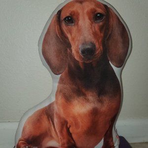 Fun and Adorable Dachshund Realistic Pillow by Ileesh